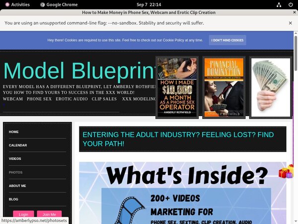 AmberlyPSO Login Information