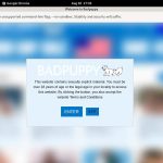 Bad Puppy Passwords Accounts