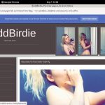 BaddBirdie 2018