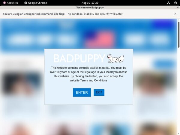 Badpuppy.com With Discover Card Badpuppy.com With Discover Card