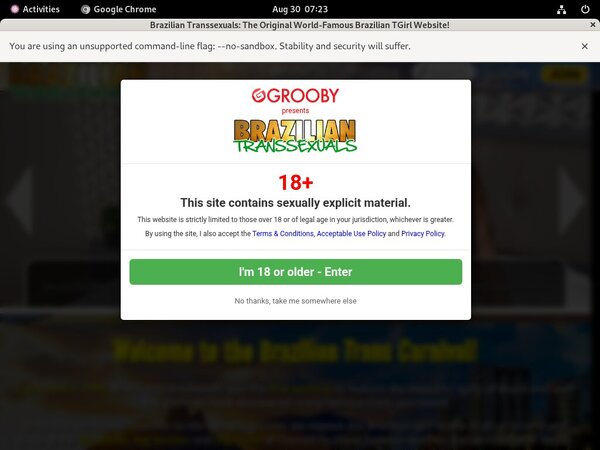 Best Brazilian Transsexuals Best Brazilian Transsexuals