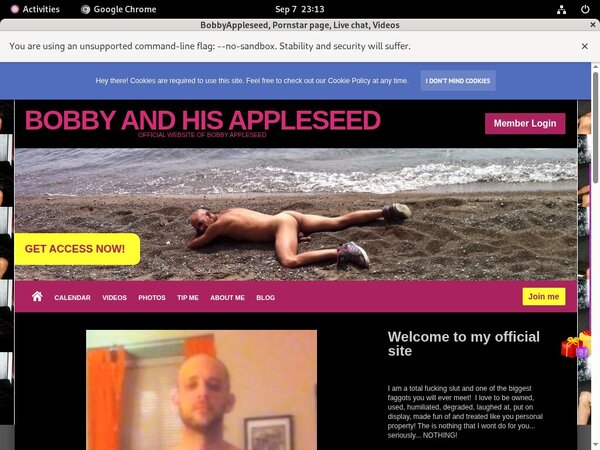 Bobbyappleseedcom