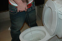 Boys Pissing Free Trial Signup s2 Boys Pissing Free Trial Signup s2