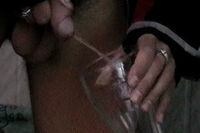 Boys-pissing.com Active Accounts s2 Boys-pissing.com Active Accounts s2