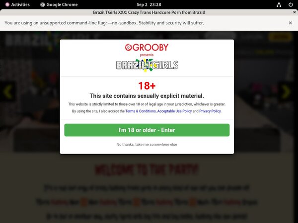 Braziltgirls Full Website