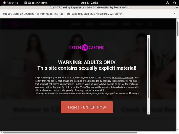 Casting VR Czech Free