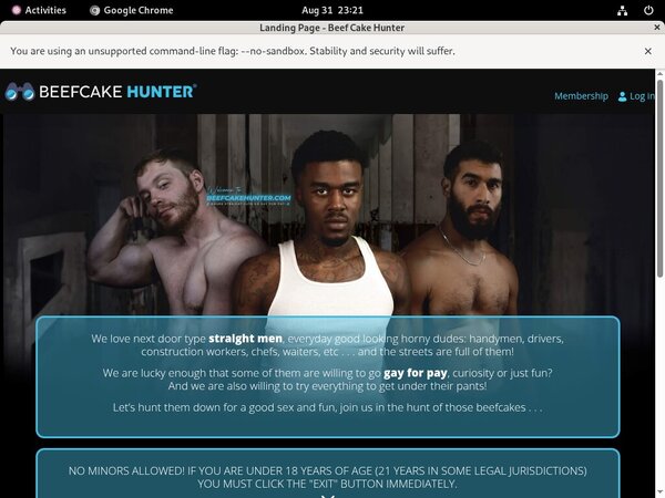 Free Beef Cake Hunter Codes