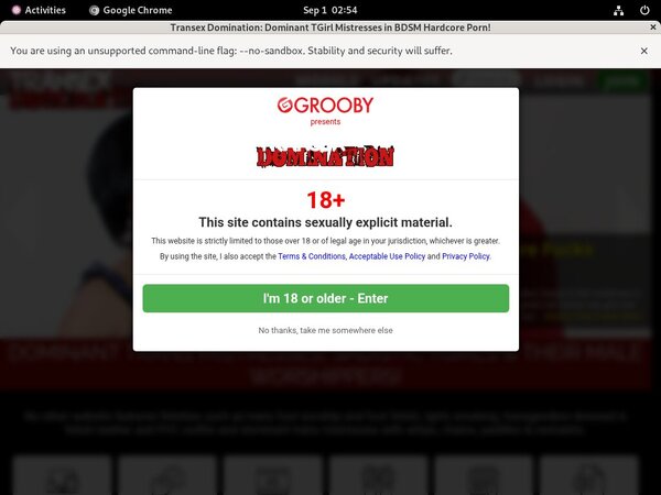 Free Transex Domination Logins