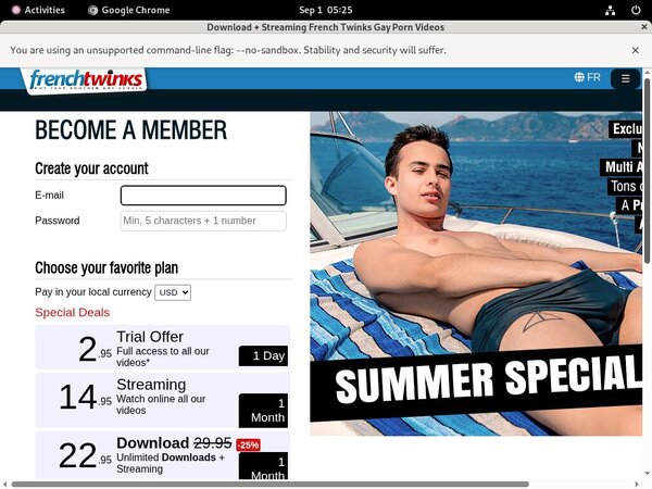 French Twinks Checkout Form