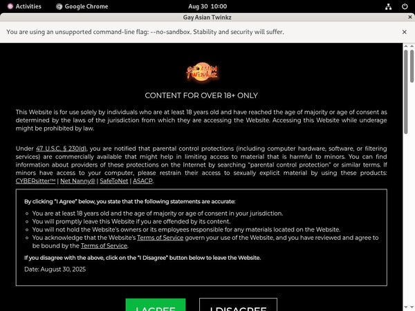 Gayasiantwinkz.com Official Gayasiantwinkz.com Official