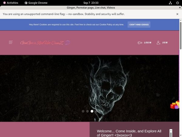 Ginger Free Passwords