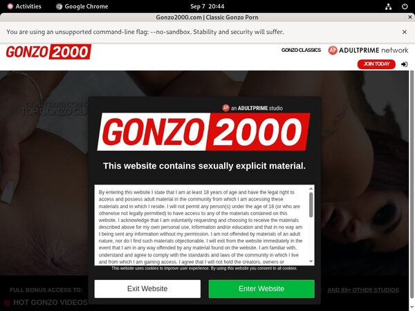 Gonzo 2000 Gratuite