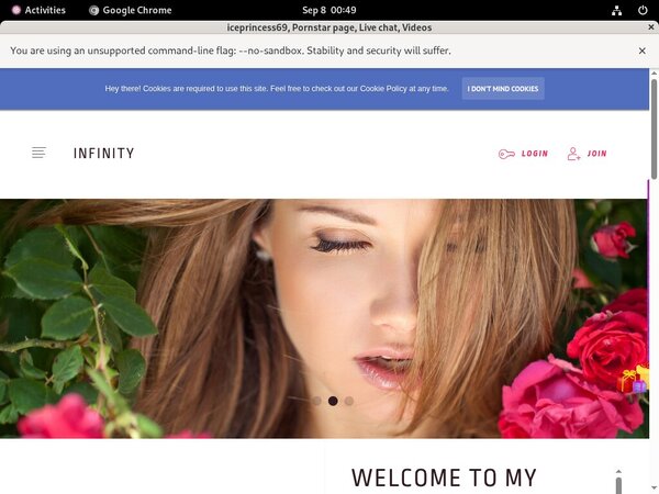 Iceprincess69.modelcentro.com Accounts And Passwords