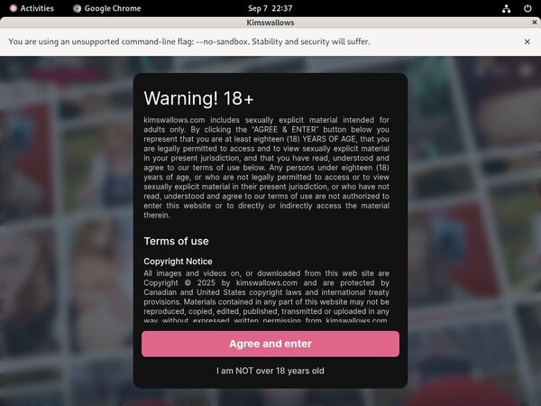 Kimswallows Paypal Deal