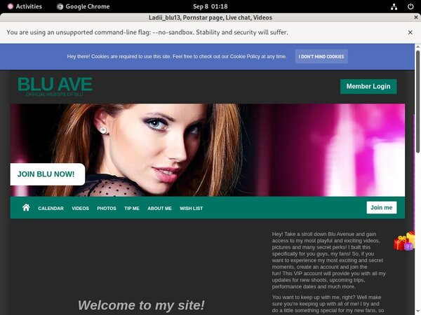 Ladii_blu13 Passwords Free