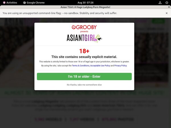 Ladyboyladyboy Site Passwords