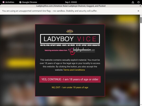 Ladyboyvice.com Coupon Deal