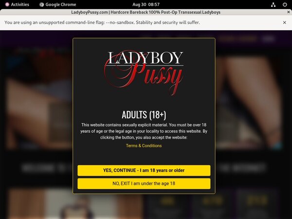 Limited Ladyboy Pussy Deal Limited Ladyboy Pussy Deal