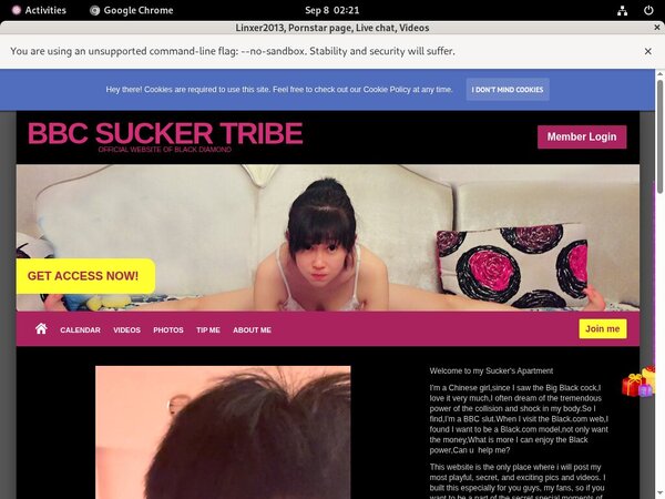 Linxer2013.modelcentro.com Active Accounts