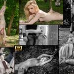 Login Subspace Land Free Trial Login Subspace Land Free Trial