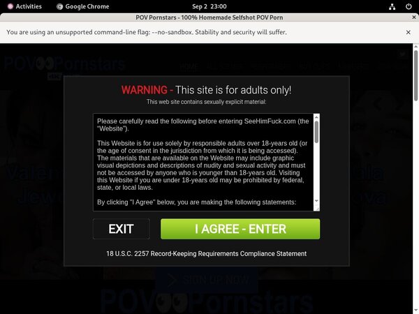 Logins For Povpornstars Free