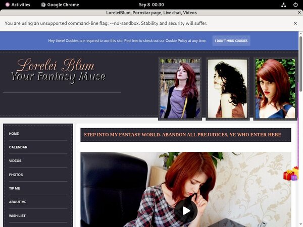 Loreleiblum.modelcentro.com Passwords 2016