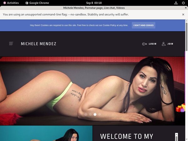 Michele Mendez Porn Passwords