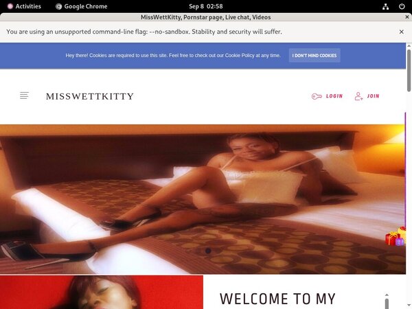 MissWettKitty Web Site