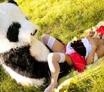 Pass WTF Free Full Videos