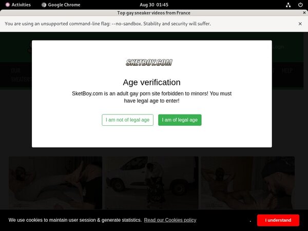 Passwords To Sketboy