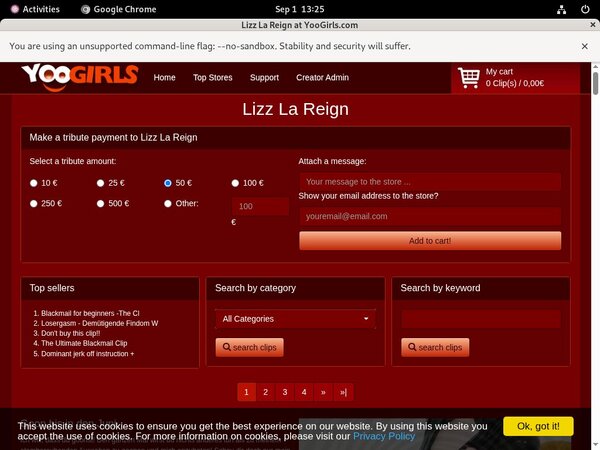 Pay Pal LizzLaReign