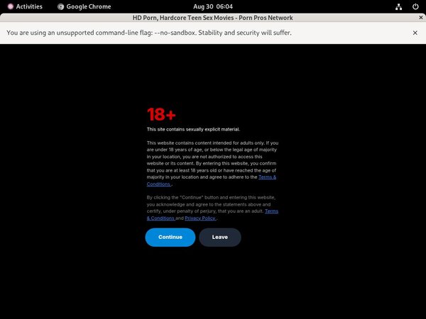 Pornprosnetwork Full Website