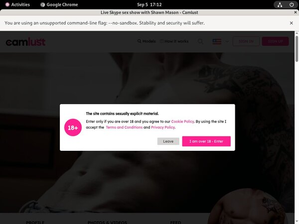 ShawnMason Website Password