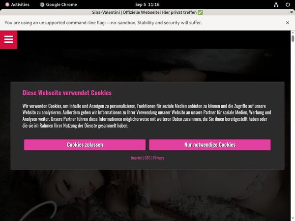 Sina Valentini Access Sina Valentini Access