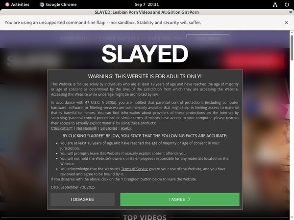 Slayed Site Rip Link