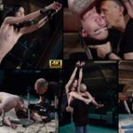 Try Subspaceland.com Free Trial