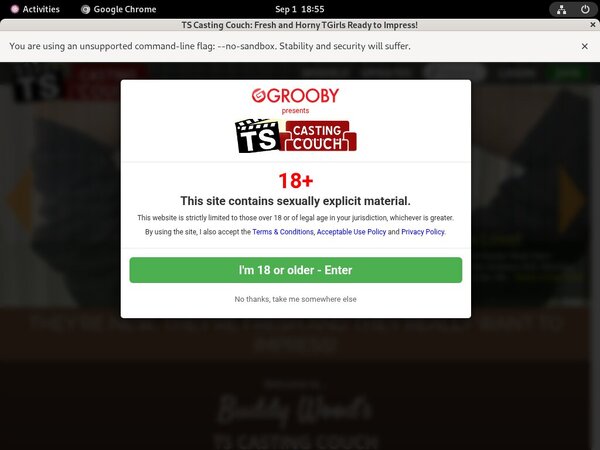 Ts-castingcouch.com Receive Discount