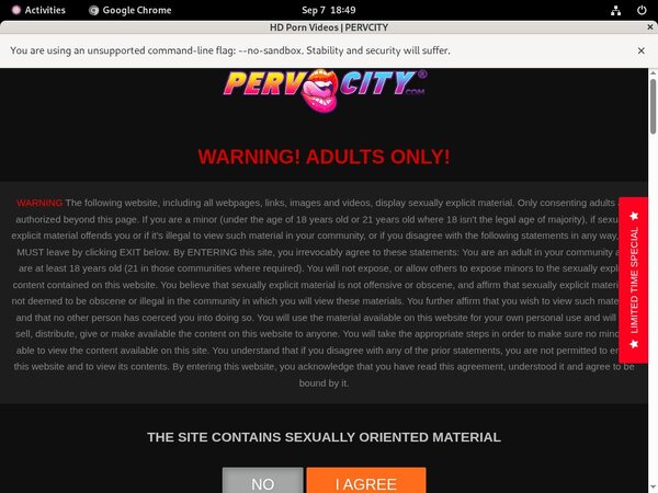 Free Perv City Premium