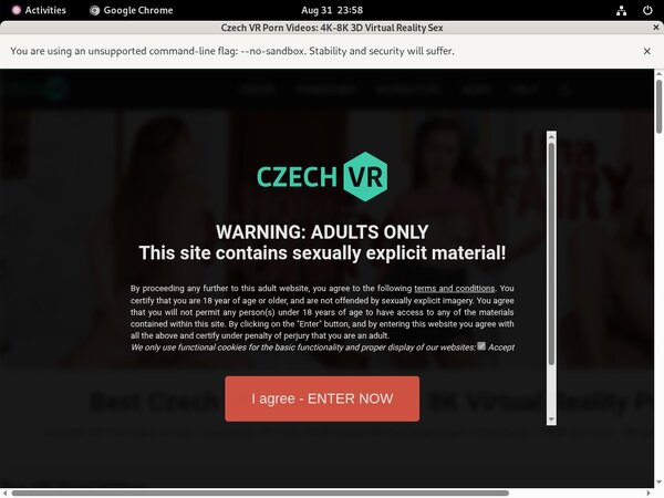 Czech VR Anal