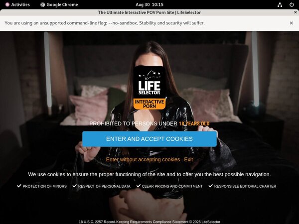 Life Selector Filme Life Selector Filme